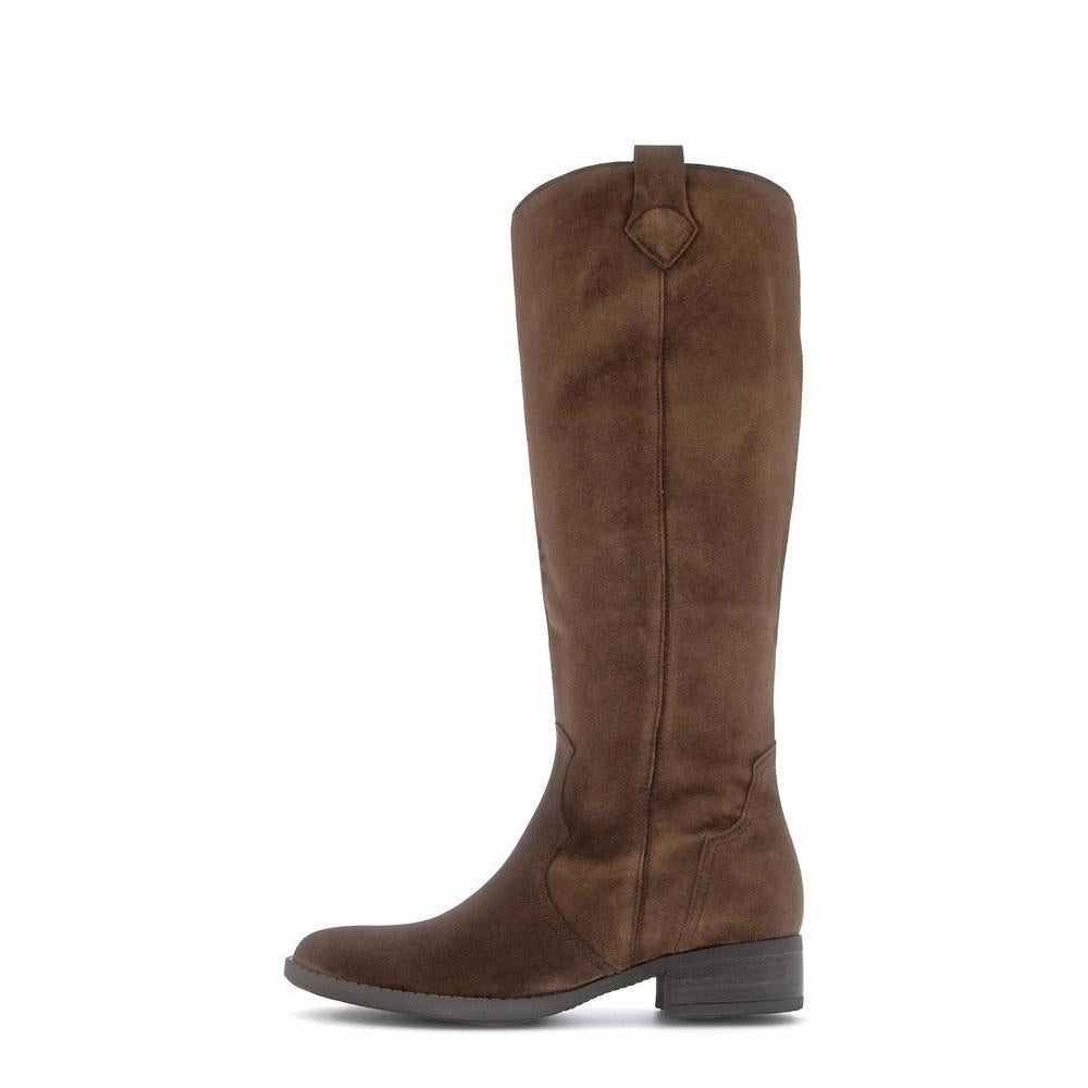 Zendaya Knee High Boots Gabor 75.901.18 Garden Ladies Whisky Chestnut Brown Suede Side Zip Knee High Boots