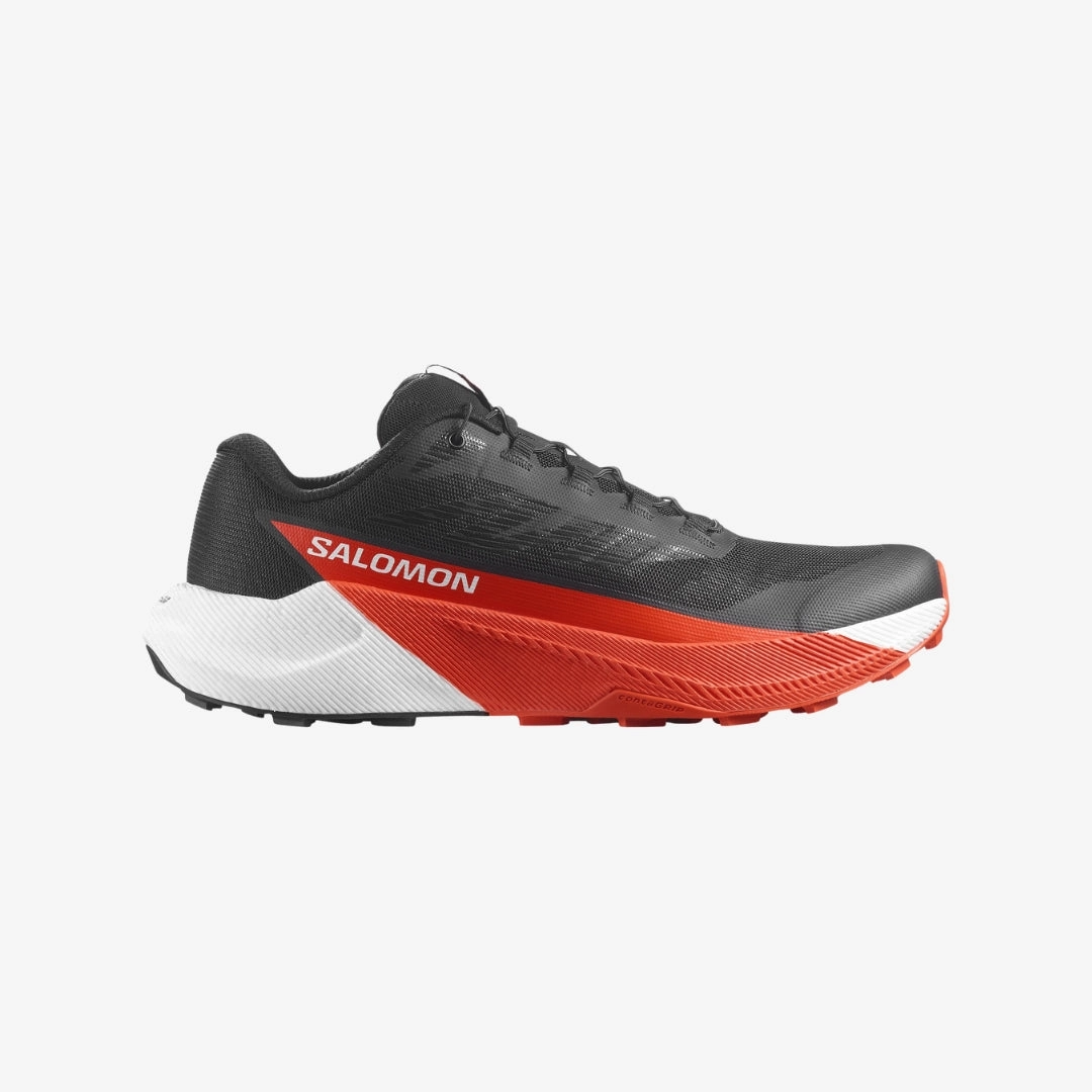 Best Shoes For Road And Trail Men's Pulsar