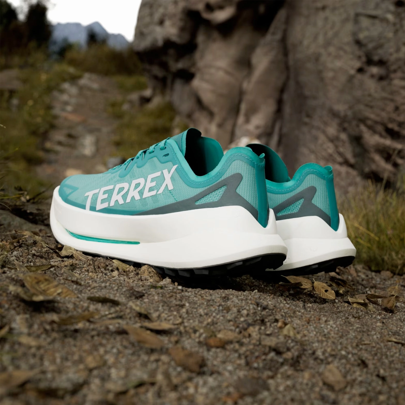 Men's Terrex Agravic Speed Speed Ultra Trail Running Shoes Pure Teal / Grey One / Aurora Ivy Creek Trail Va