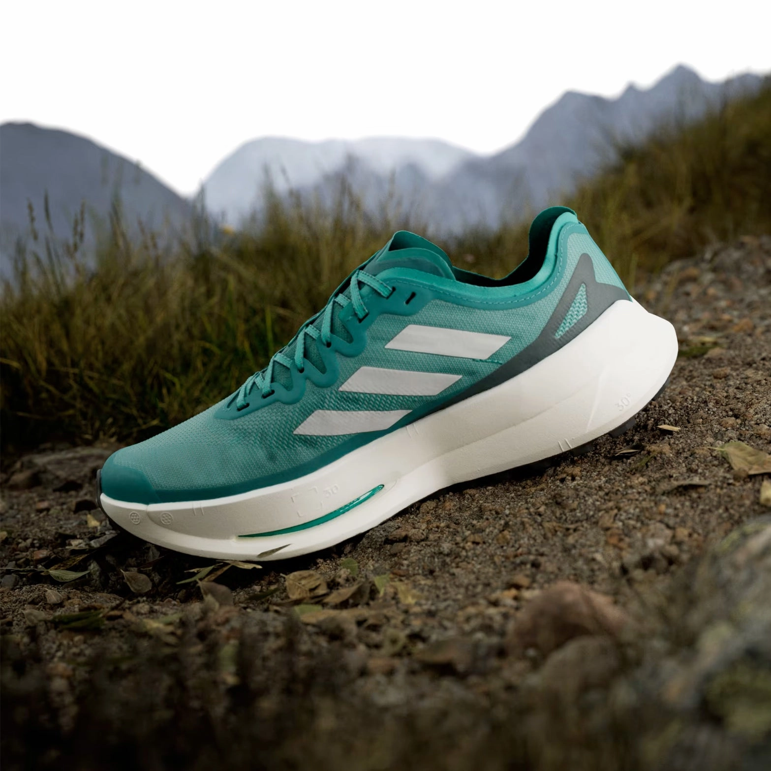 5 Trail Running Shoe Men's Terrex Agravic Speed Speed Ultra Trail Running Shoes Pure Teal / Grey One / Aurora Ivy