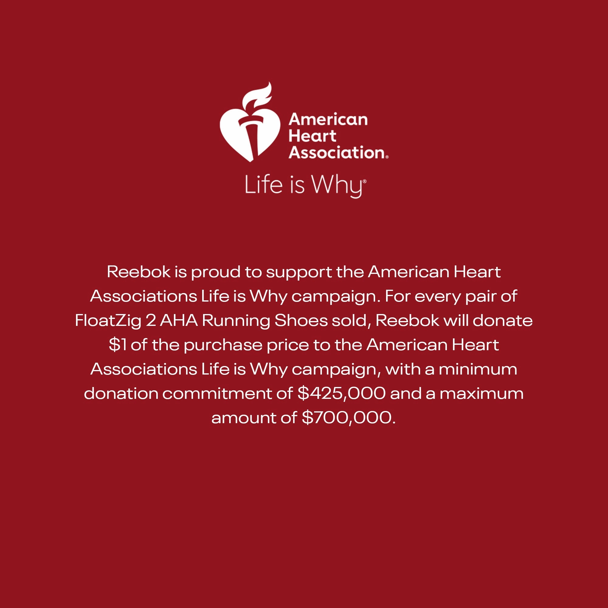 Men's FloatZig 2 AHA Running Shoes Downshifter 13 Road Running Shoes