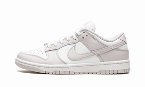 Nike Grade School Court Borough Low Recraft Shoes Wmns Dunk Low Venice