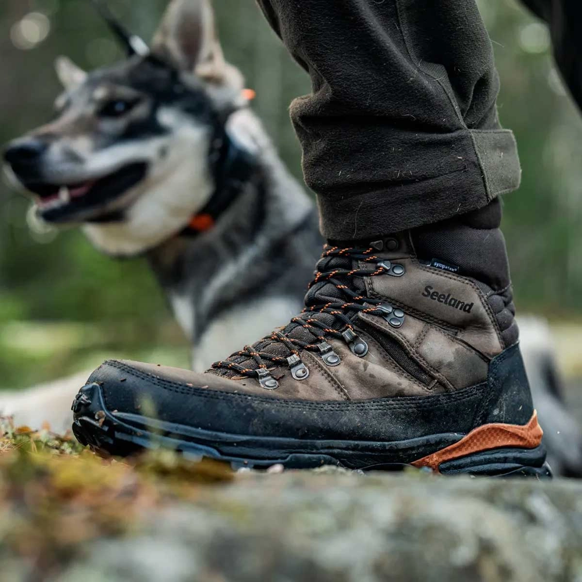 Keen Terradora Ii Waterproof Mid Hiking Boots SEELAND Enduro Tracker High Boot - Men's - Dark Brown
