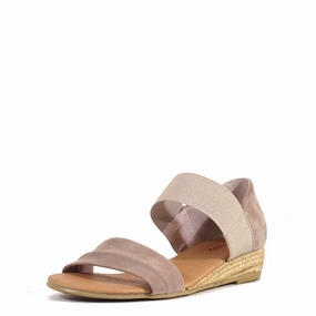 Pinaz 321 Sandals Pointed Toe
