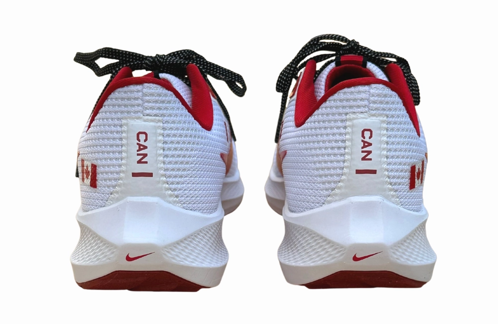 Nike Go Flyease Easy On/off Shoes Womens Nike Canada Air Zoom Pegasus 40