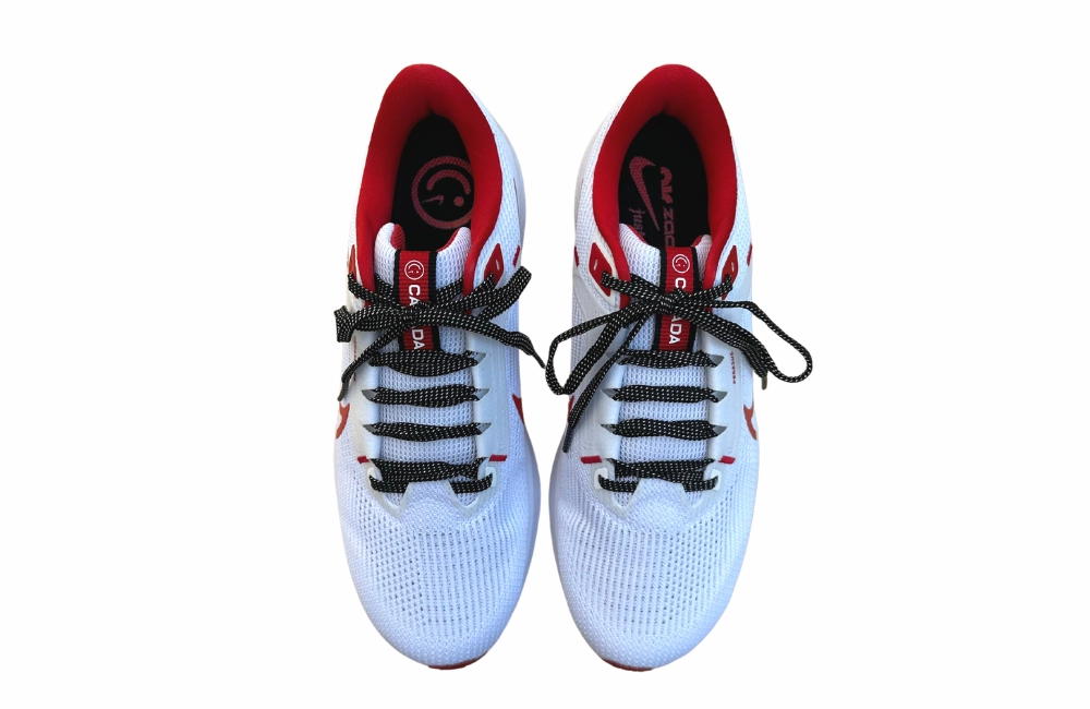 Janoski Nike Shoes Womens Nike Canada Air Zoom Pegasus 40